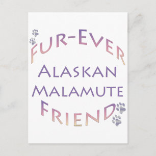 Alaskan Malamute Furever Postkarte