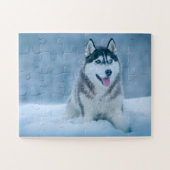 Alaskan Malamute geht auf Schneefeld Puzzle (Horizontal)