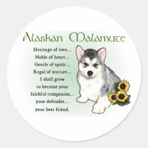 Alaskan Malamute Geschenke Runder Aufkleber