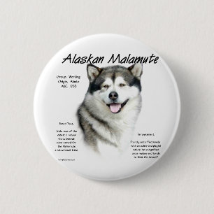 Alaskan Malamute Geschichte, Alles über Malamutes Button