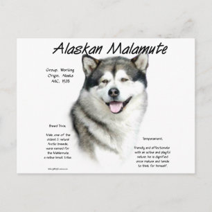 Alaskan Malamute Geschichte, Alles über Malamutes Postkarte