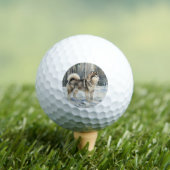 Alaskan Malamute Golfball (Insitu T-Shirt)