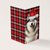 Alaskan Malamute Holiday Karierte Weihnachtskarte (Vorderseite)