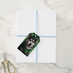 Alaskan Malamute Hund in St. Patrick's Day Dress Geschenkanhänger