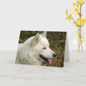 Alaskan Malamute Hunde Karte (Gelbe Blume)
