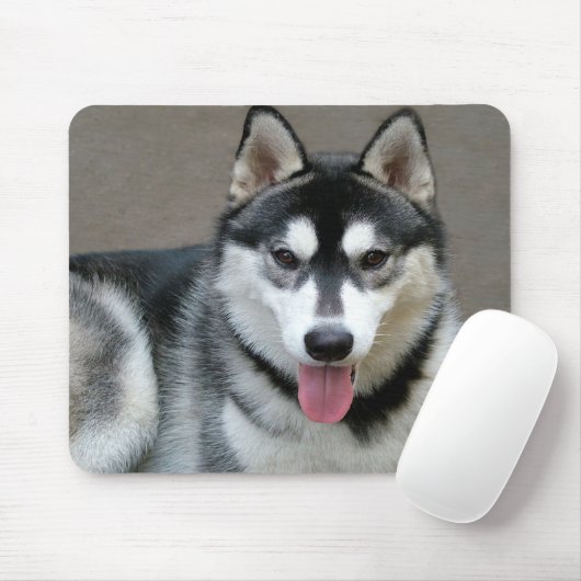 Alaskan Malamute Hunde Mousepad (Mit Mouse)