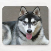 Alaskan Malamute Hunde Mousepad (Vorne)
