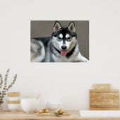 Alaskan Malamute Hunde Poster (Küche)