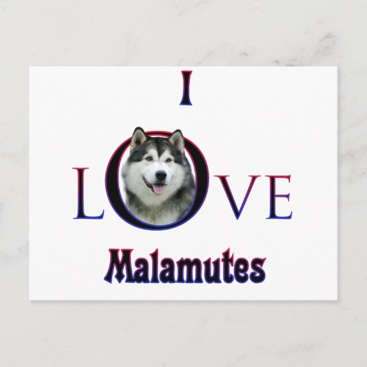 Alaskan Malamute I Liebe Postkarte (Vorderseite)