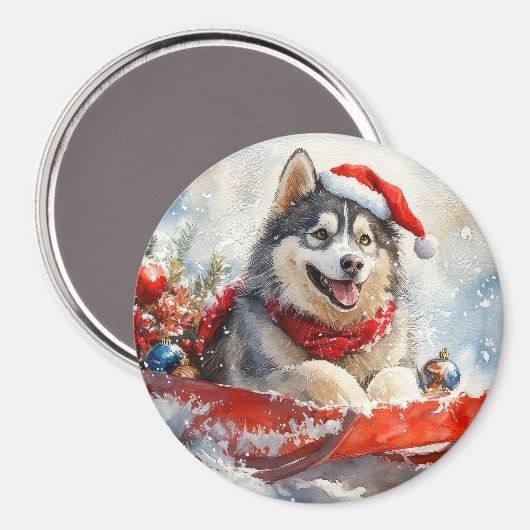 Alaskan Malamute in Sledge Let it Schnee Weihnacht Magnet (Vorderseite/Rückseite)