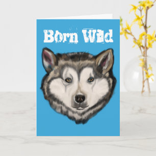 Alaskan Malamute Karte