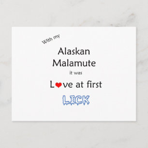 Alaskan Malamute Lick Design Postkarte