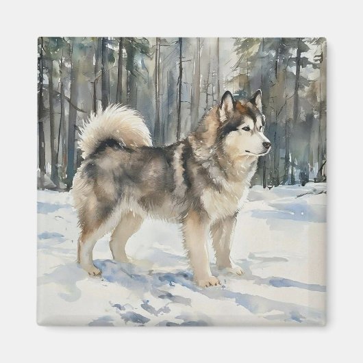 Alaskan Malamute Magnet (Vorne)