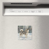 Alaskan Malamute Magnet (In Situ (Geschirrspüler))