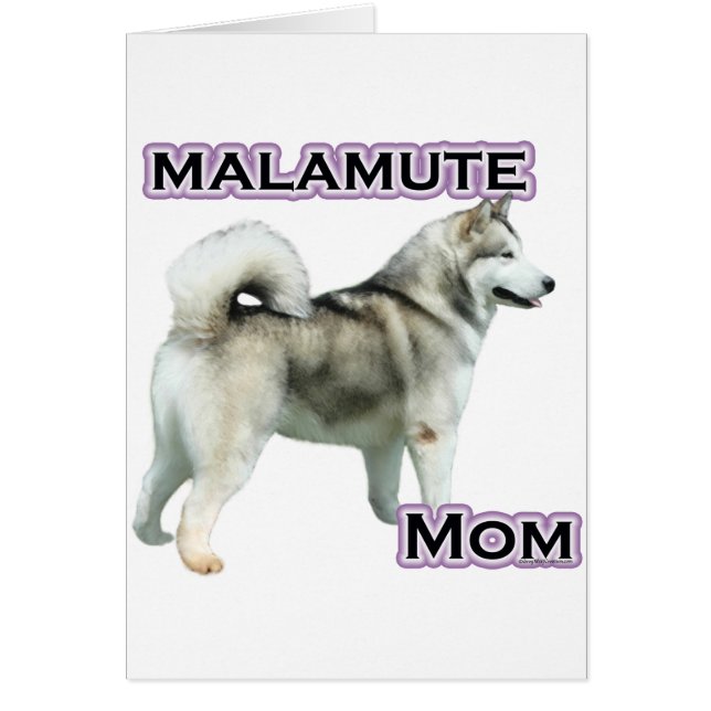 Alaskan Malamute Mama 4 (Vorne)