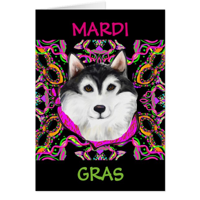 ALASKAN MALAMUTE - MARDI GRAS (Vorne)