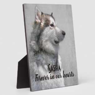 Alaskan Malamute Pet Loss Fotoplatte