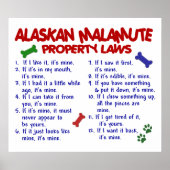 ALASKAN MALAMUTE PL2 POSTER (Vorne)