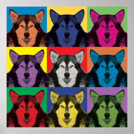 Alaskan Malamute Pop-Art-Poster Poster (Vorne)