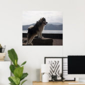 Alaskan Malamute Poster (Heimbüro)