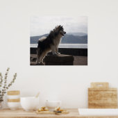 Alaskan Malamute Poster (Küche)