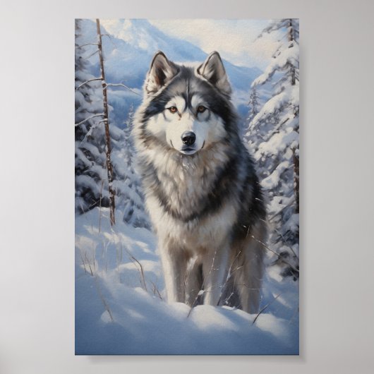 Alaskan Malamute Poster (Vorne)