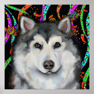 Alaskan Malamute Poster