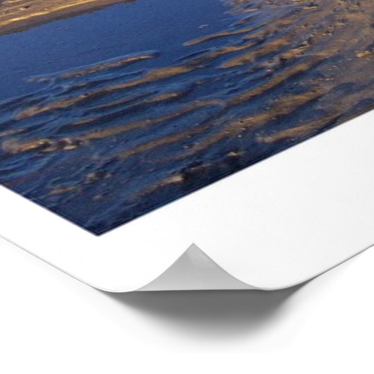 Alaskan Malamute Poster (Ecke)