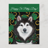 Alaskan Malamute Postkarte (Vorderseite)