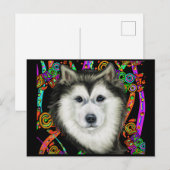 Alaskan Malamute Postkarte (Vorne/Hinten)