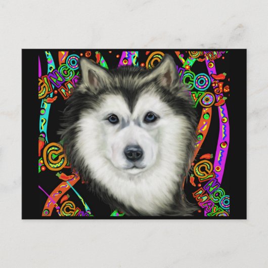 Alaskan Malamute Postkarte (Vorderseite)