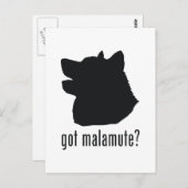 Alaskan Malamute Postkarte (Vorne/Hinten)