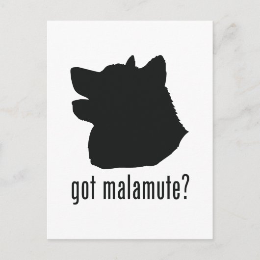 Alaskan Malamute Postkarte (Vorderseite)
