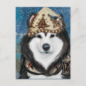 Alaskan Malamute Postkarte (Vorderseite)