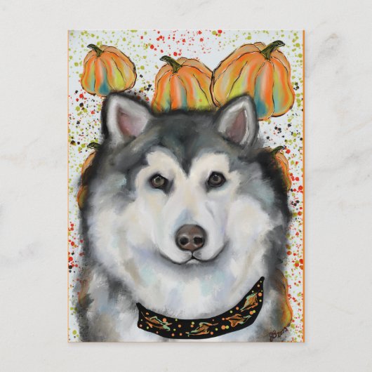 Alaskan Malamute Postkarte (Vorderseite)