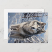 Alaskan Malamute Postkarte (Vorne/Hinten)