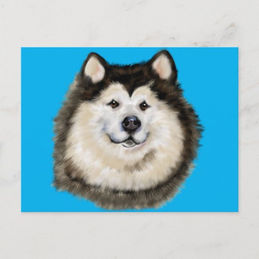 Alaskan Malamute Postkarte (Vorderseite)
