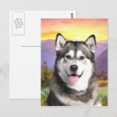 Alaskan Malamute Postkarte (Vorne/Hinten)
