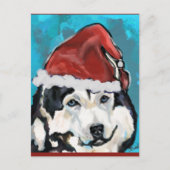 Alaskan Malamute Postkarte (Vorderseite)
