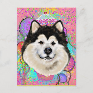 Alaskan Malamute Postkarte