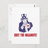 Alaskan Malamute Postkarte (Vorne/Hinten)