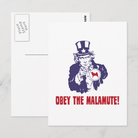 Alaskan Malamute Postkarte (Vorne/Hinten)