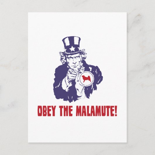 Alaskan Malamute Postkarte (Vorderseite)