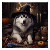 Alaskan Malamute Pumpkins Halloween Beängstigend Poster (Vorderseite)