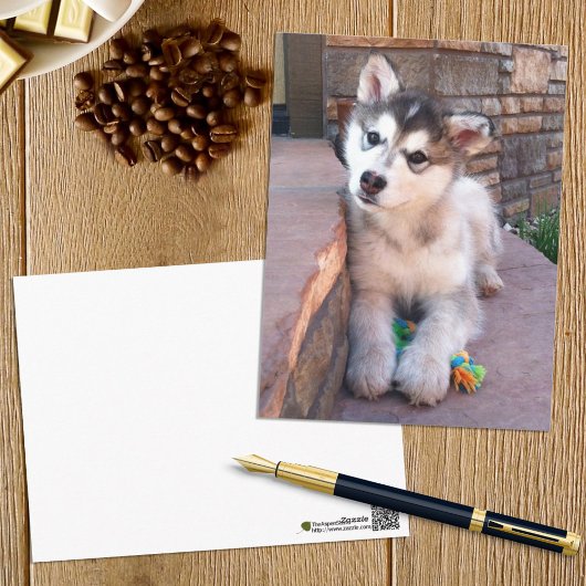 Alaskan Malamute Puppy Head Tilt Fotograf Postkarte