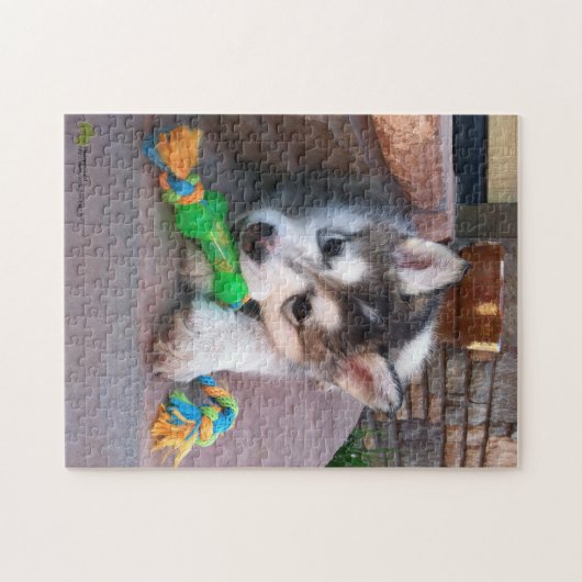 Alaskan Malamute Puppy Nah-Up-Foto Puzzle (Horizontal)