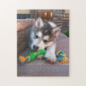 Alaskan Malamute Puppy Nah-Up-Foto Puzzle (Vertikal)