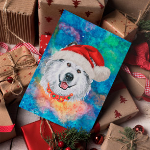 Alaskan Malamute Rasse Hund Weihnachten