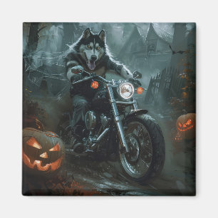 Alaskan Malamute Riding Motorrad Halloween Beängst Magnet