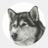 Alaskan Malamute Runder Aufkleber (Vorderseite)